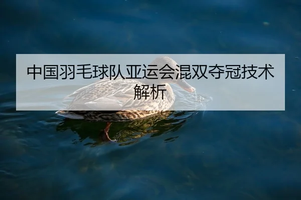 中国羽毛球队亚运会混双夺冠技术解析